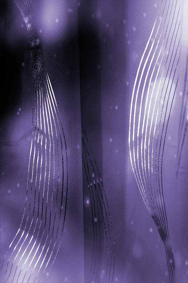 Purple and Silver Abstract Photograph by Sharon Popek