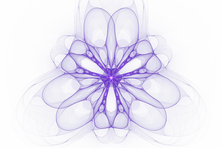 Purple and white delicate Fractal Flower Digital Art by Matthias Hauser