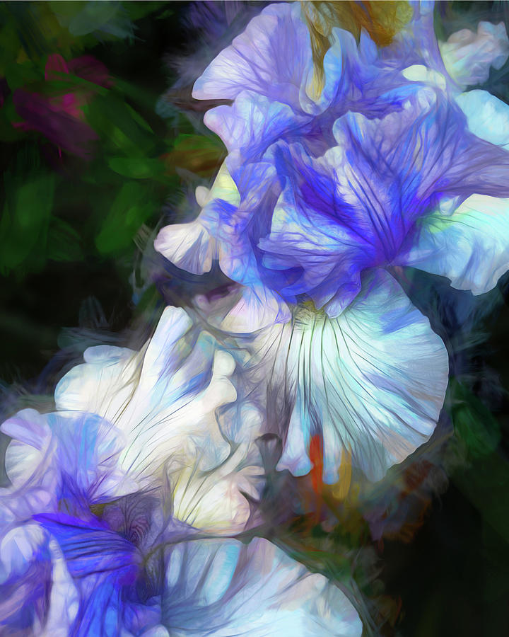 Purple And White Iris  Mixed Media by Ann Powell