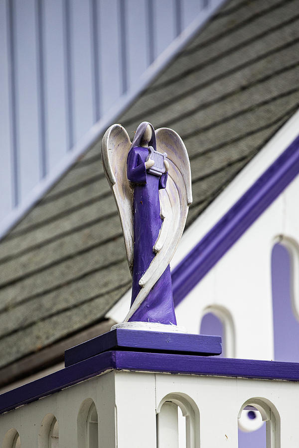 Purple Angel Photograph by Denise Kopko