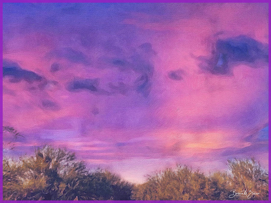 Purple Arizona Sky - Photo  Painting Photograph by Barbara Zahno