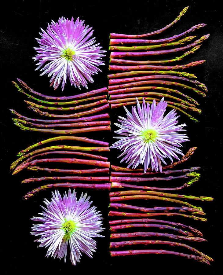 Purple Asparagus Design Photograph by Sarah Phillips
