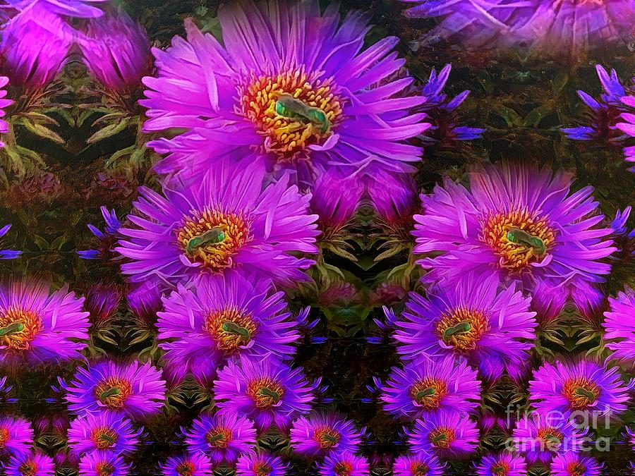 Purple Asters and Bees Galore Photograph by Sea Change Vibes