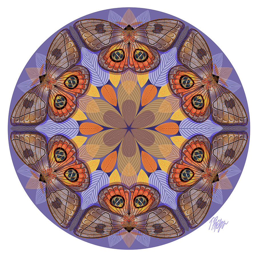 Purple Automeris Moth Nature Mandala Digital Art by Tim Phelps - Fine ...