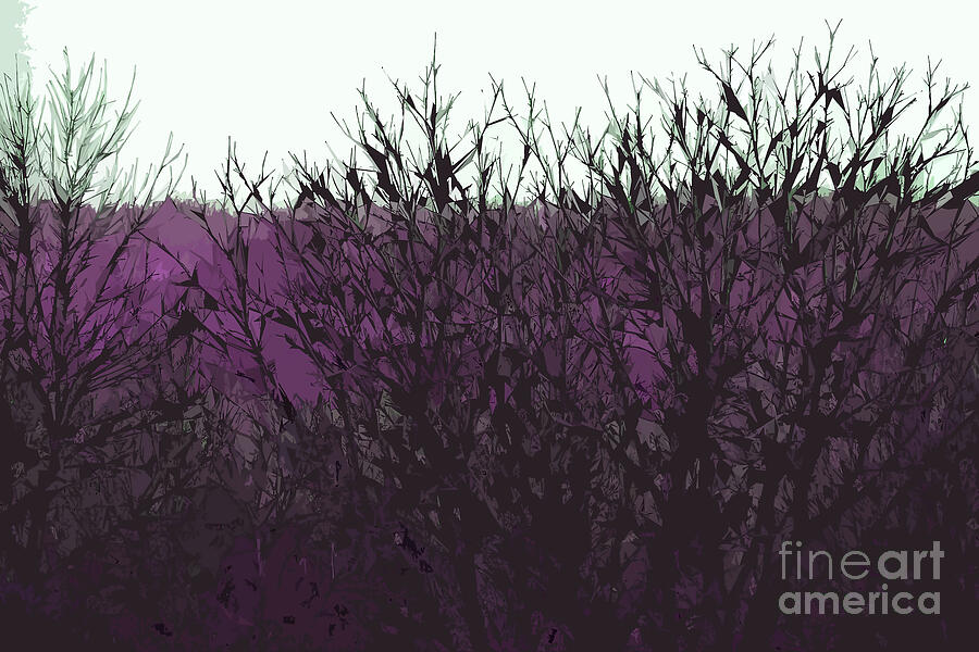 Purple Barren Branches Digital Art by Kirt Tisdale Purple Barren Branches Digital Art by Kirt Tisdale
