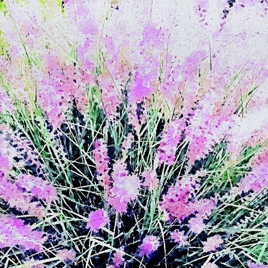 Purple Beauty Digital Art