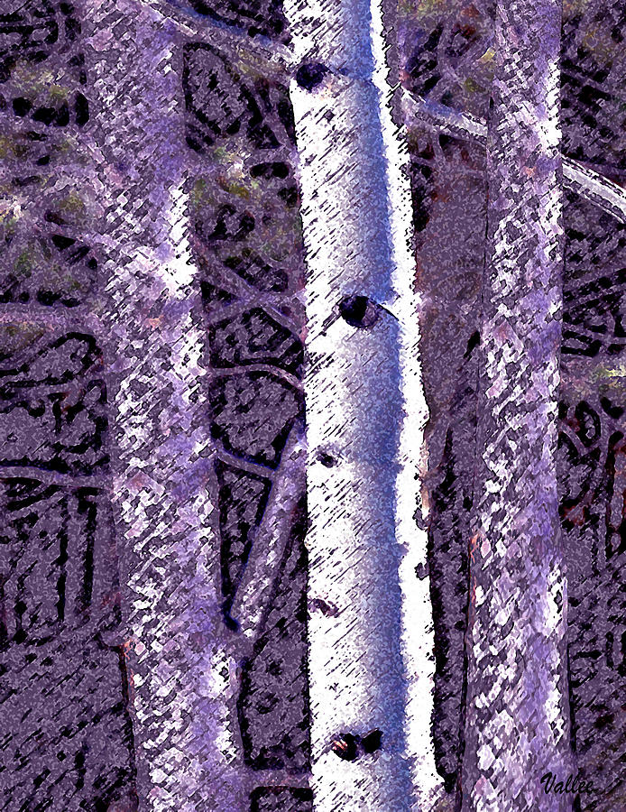 Purple Birch Digital Art by Vallee Johnson