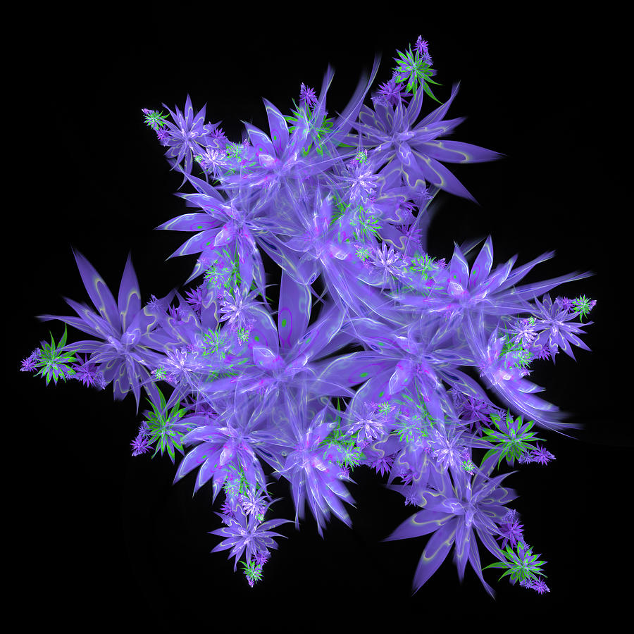 Purple black and green Fractal Flowers Digital Art by Matthias Hauser