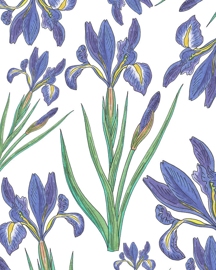 Purple Blue Iris Flower Watercolor Pattern On White Painting by Irina Sztukowski