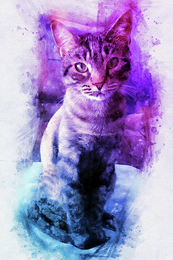 Purple Blue Tabby Cat by Peggy Collins