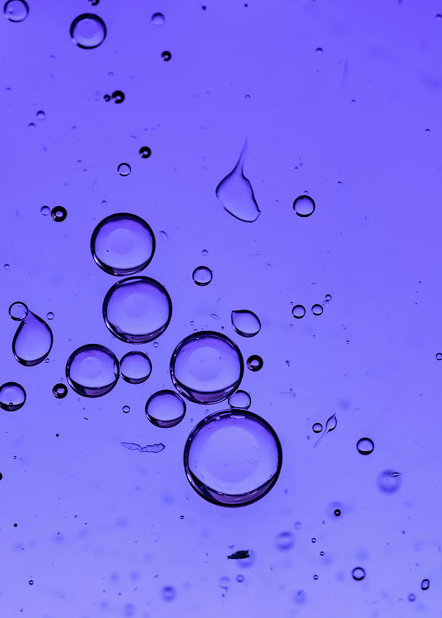 Purple Bubbles Photograph by Cathy Kovarik