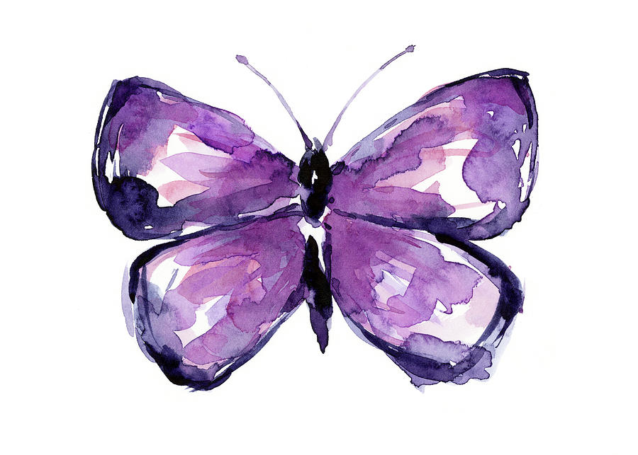 Insects Painting - Purple Butterfly  by Olga Shvartsur