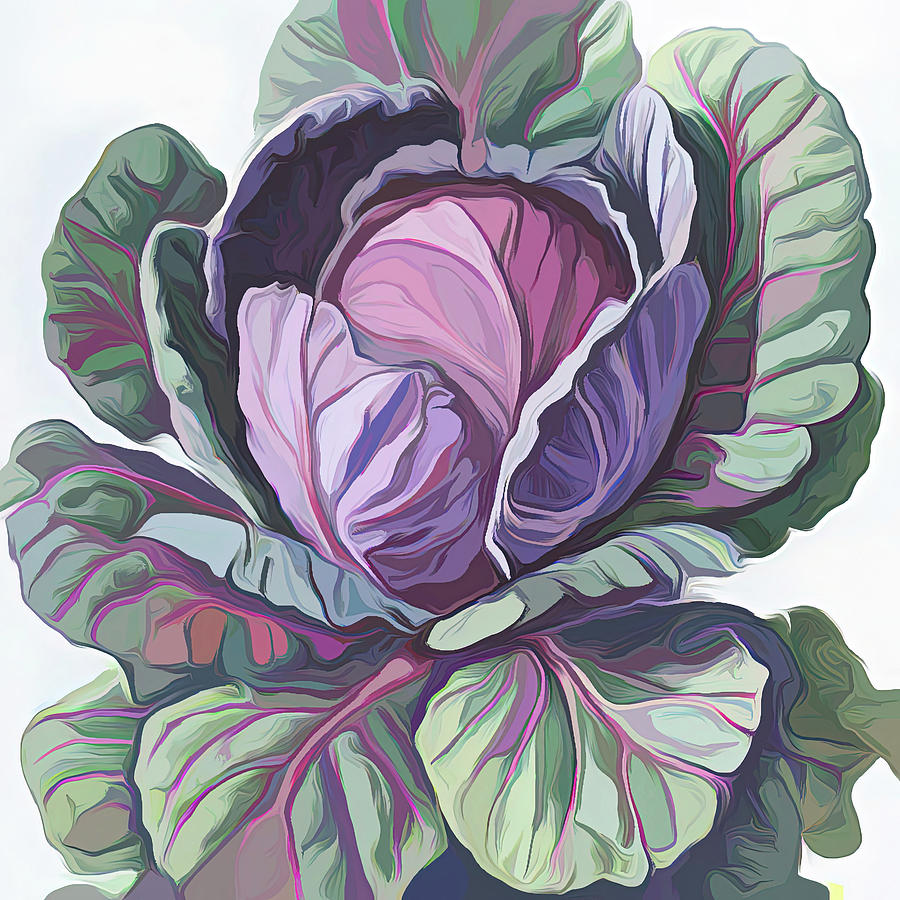 Purple Cabbage painting Digital Art by Cathy Anderson
