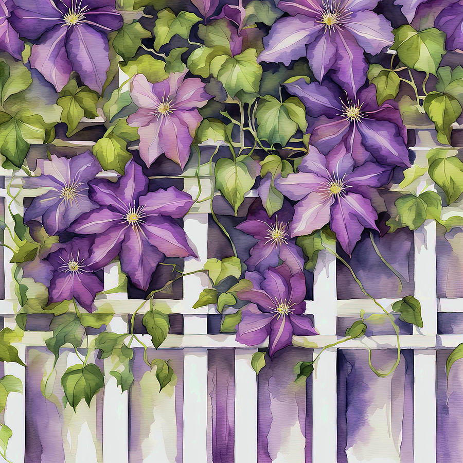 Purple Clematis On The Trellis Digital Art by HH Photography of Florida