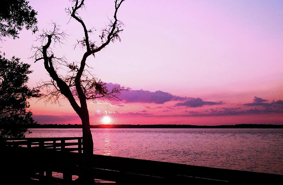 Purple Coastal Sunset Photograph by Sharon Williams Eng