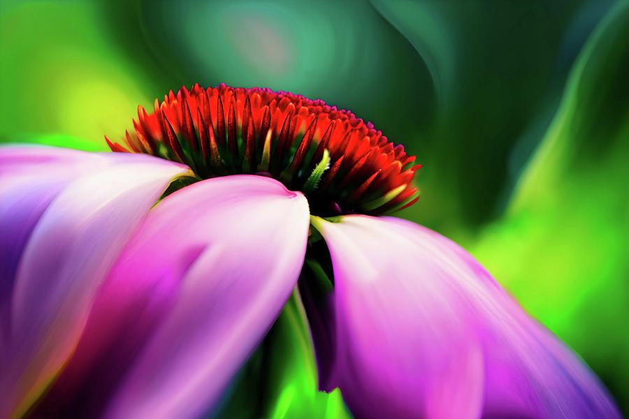 Purple Cone Flower Digital Art by Ursula Abresch Purple Cone Flower Digital Art by Ursula Abresch