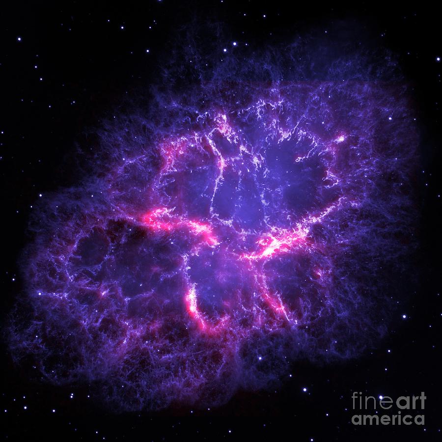 Purple Crab Nebula  Photograph by Leah McPhail