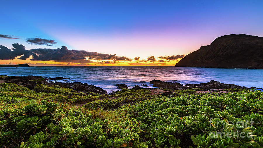 Purple Dawn at Makapuu Beach in Waimanalo Hawaii Photograph by Phillip