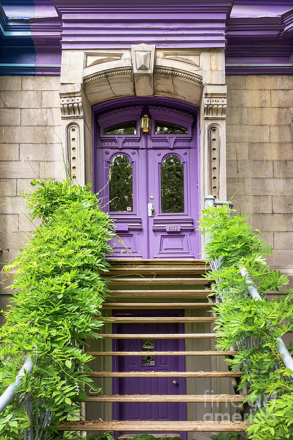 Purple door in Montreal Photograph by Delphimages Photo Creations
