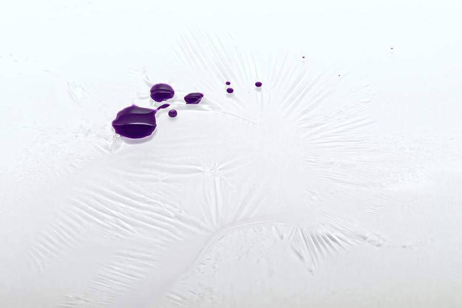 Purple Drops Photograph