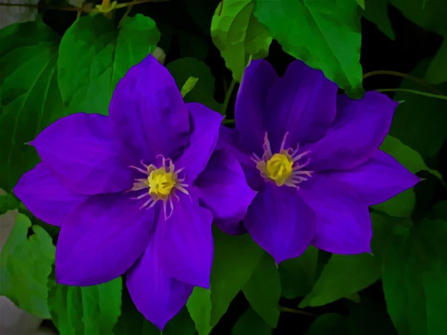 Flower Photograph - Purple Ecstacy by Julie Grace
