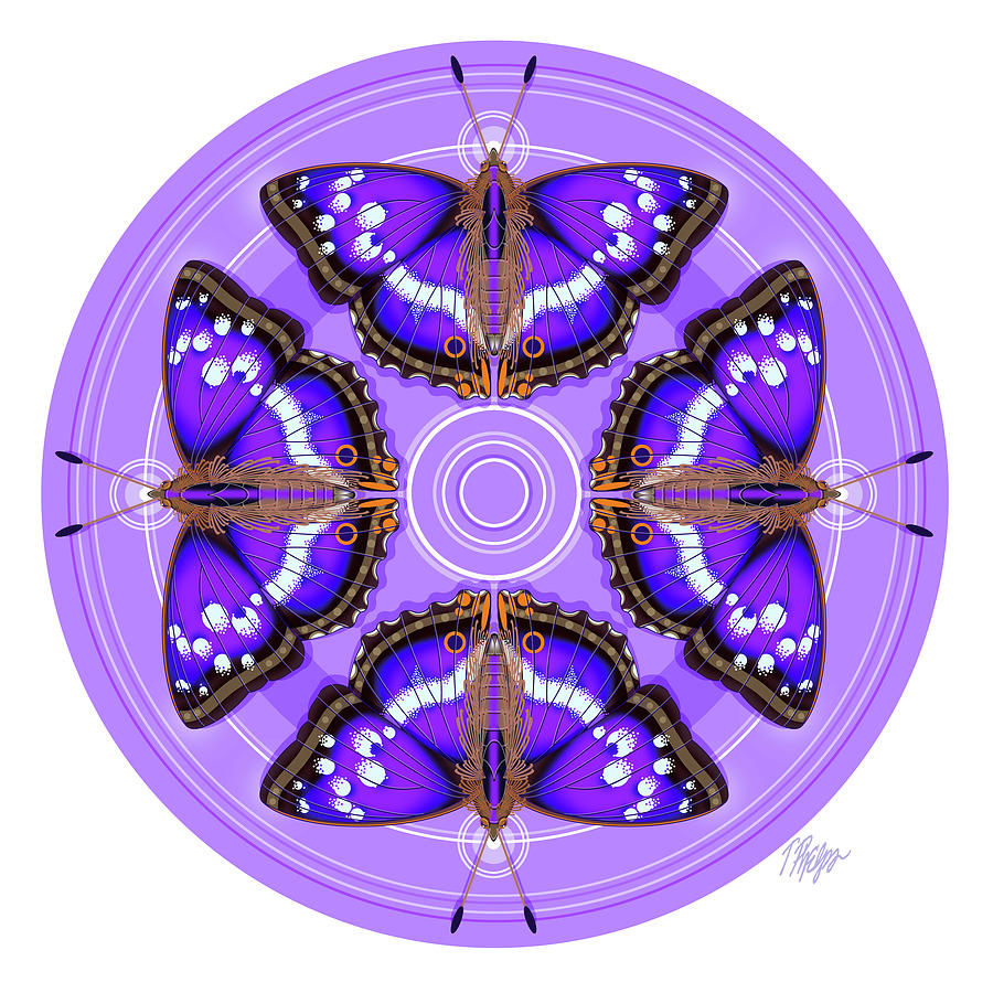 Purple Emperor Butterfly Puddle Mandala Digital Art by Tim Phelps
