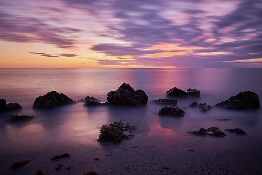 Purple Fall Florida Sunset Photograph by Mark Rogers