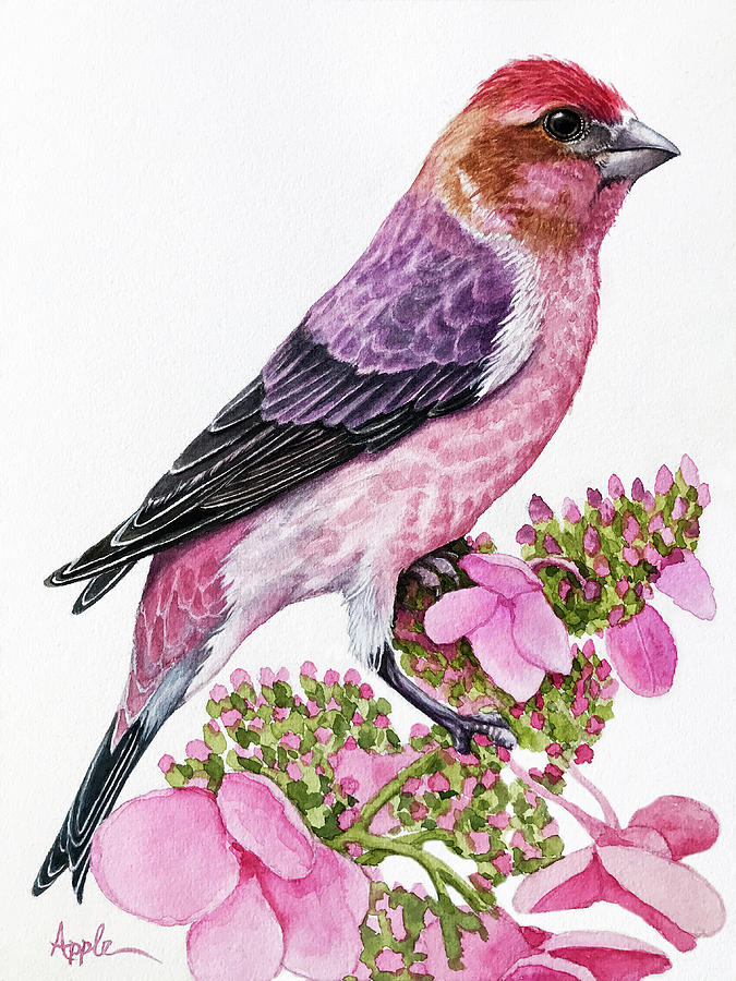 Purple Finch - New Hampshire state bird Painting by Linda Apple