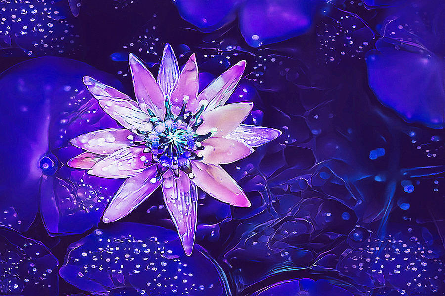 Purple Flower Art Photograph by Debra Kewley