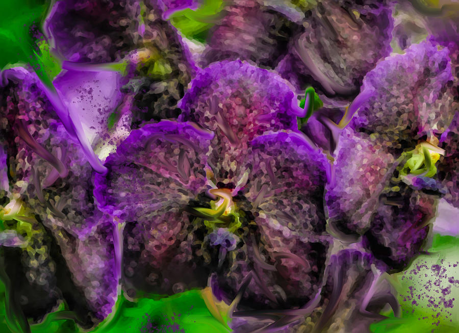 Purple Flower at Botanical Gardens in the Bronx. Photograph by Cordia Murphy