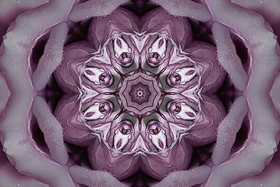 Purple Flower Digital Art By Christine Lake Fine Art America