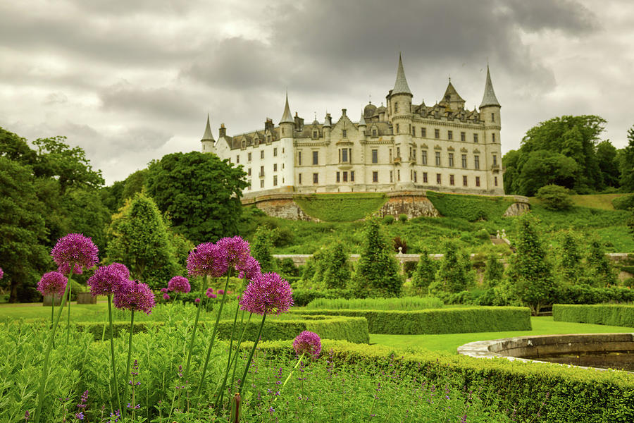 Purple Flowers at Dunrobin Castle Photograph by Ian Good