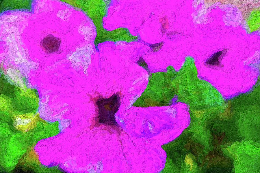 Purple Flowers Photograph by SR Green