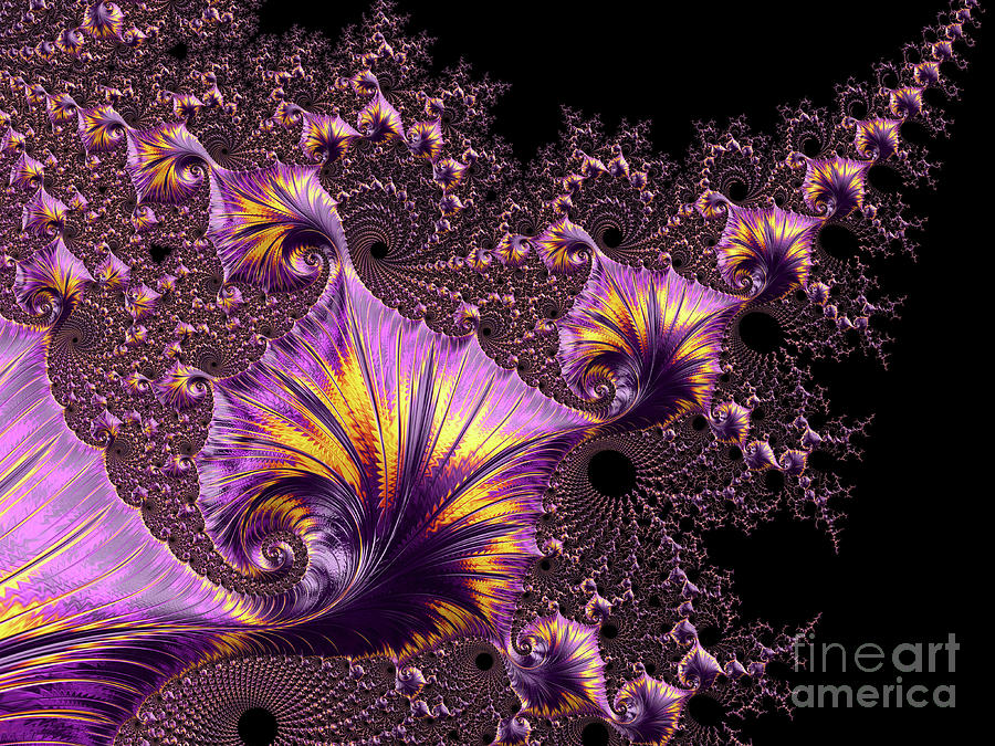 Purple Fractal Lace Photograph by Elisabeth Lucas - Fine Art America