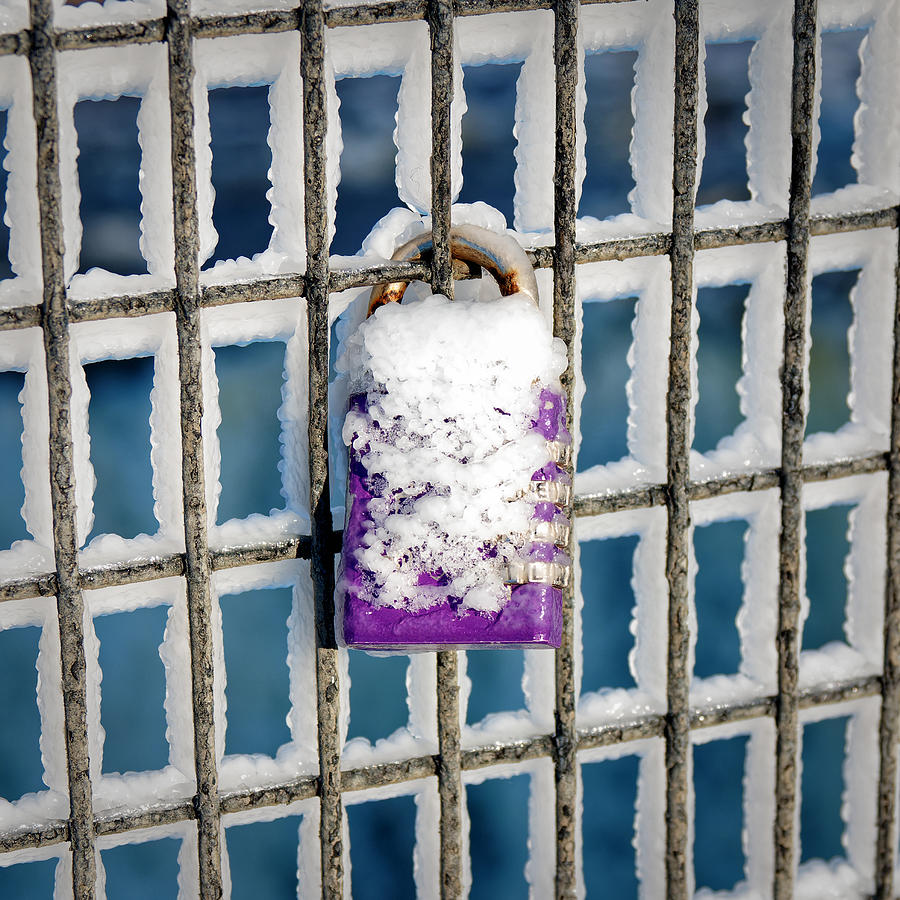 Purple Frozen Padlock Photograph By Frederick Belin Fine Art America