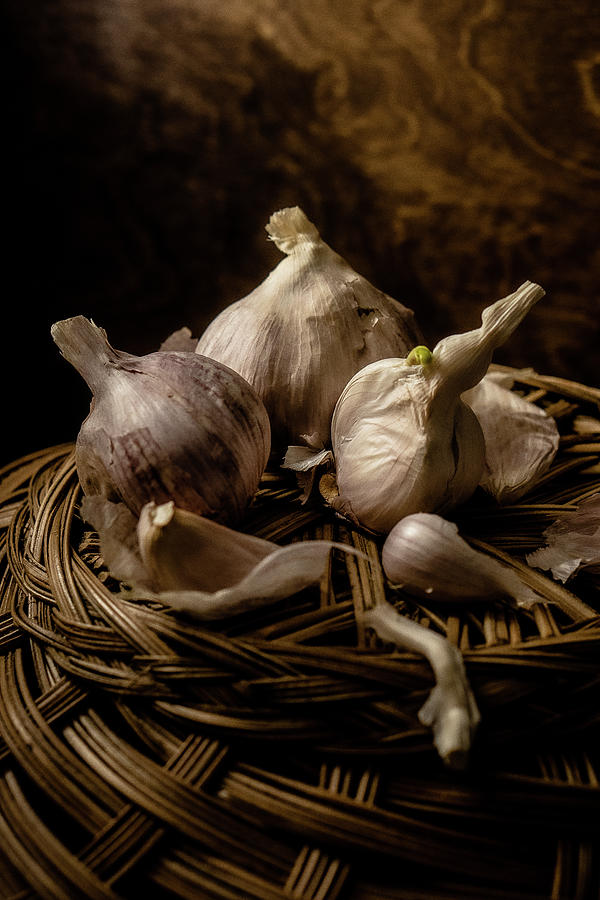 Purple Garlic Photograph by Iris Greenwell