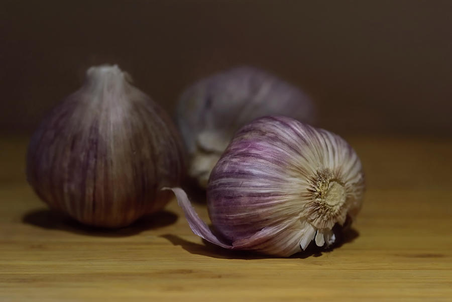 Purple Garlic Trio Photograph by Carol Eade