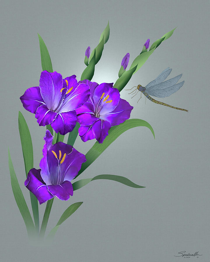 Purple Gladiolus and Dragonfly Digital Art by M Spadecaller