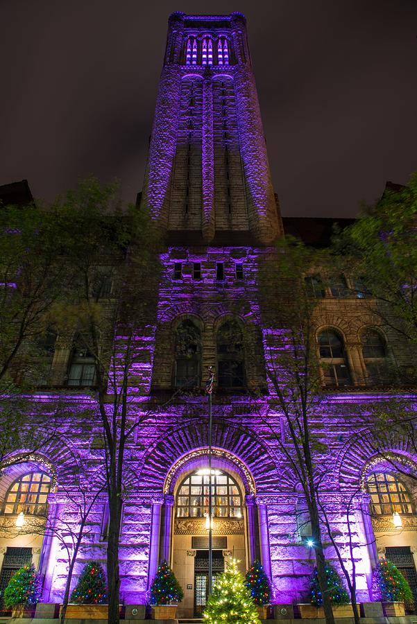 Purple Glow Photograph by Charlie Jones