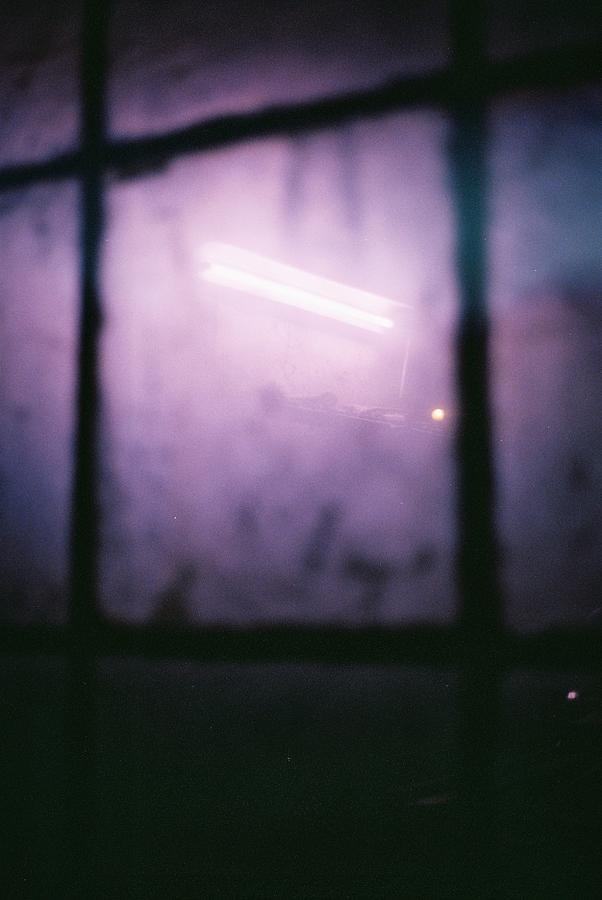 Purple haze Photograph by Barthelemy de Mazenod