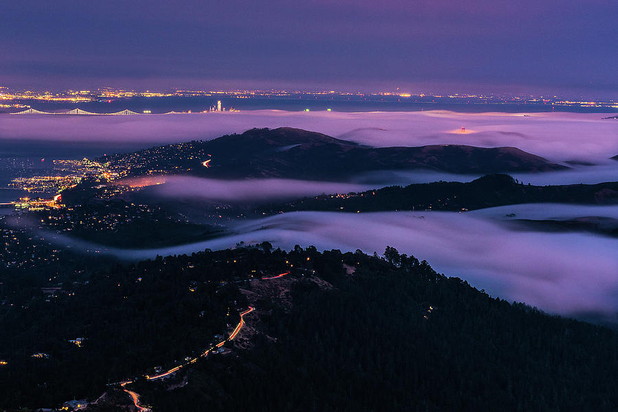 Purple Haze Photograph by Louis Raphael