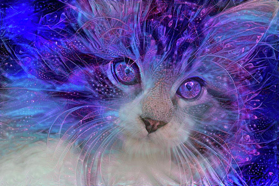 Electric Blue Maine Coon Kitten Mixed Media by Peggy Collins - Fine Art ...