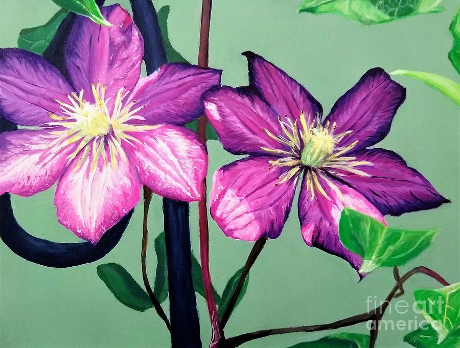 Asian Virginsbower - Clematis Florida Painting by Lianne Schneider