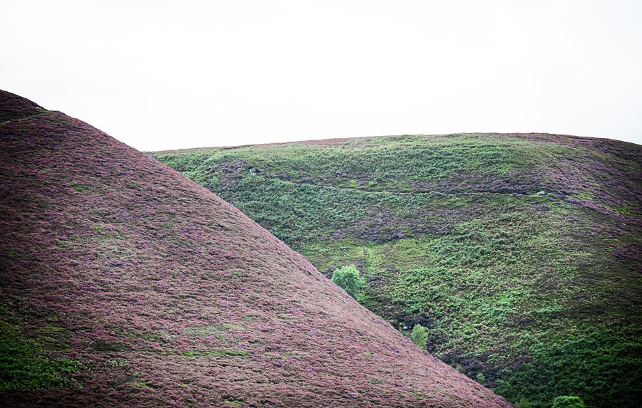 Purple Hills Photograph