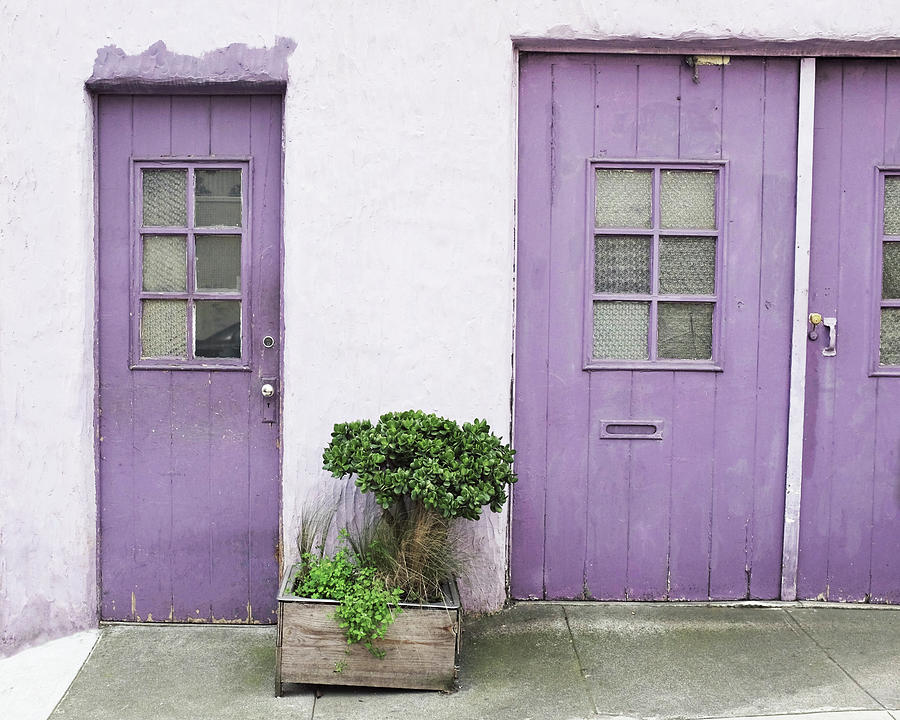 Purple House Photograph by Lupen Grainne