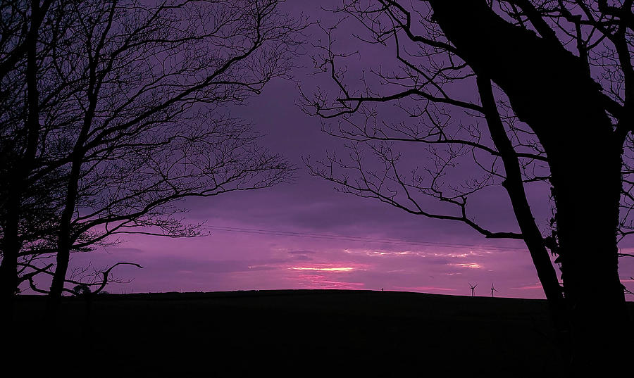 Purple Hues Sunset Devon Photograph by Richard Brookes