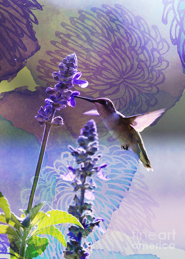 Purple Hummingbird Moment Digital Art Mixed Media by Carol Groenen