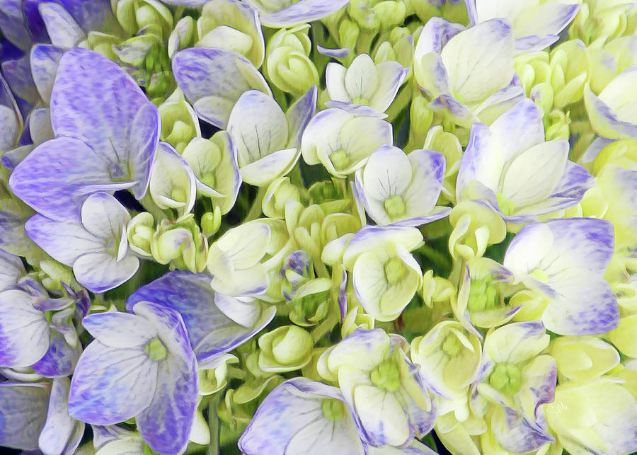 Purple hydrangea landscape Digital Art by Sami Martin - Fine Art America