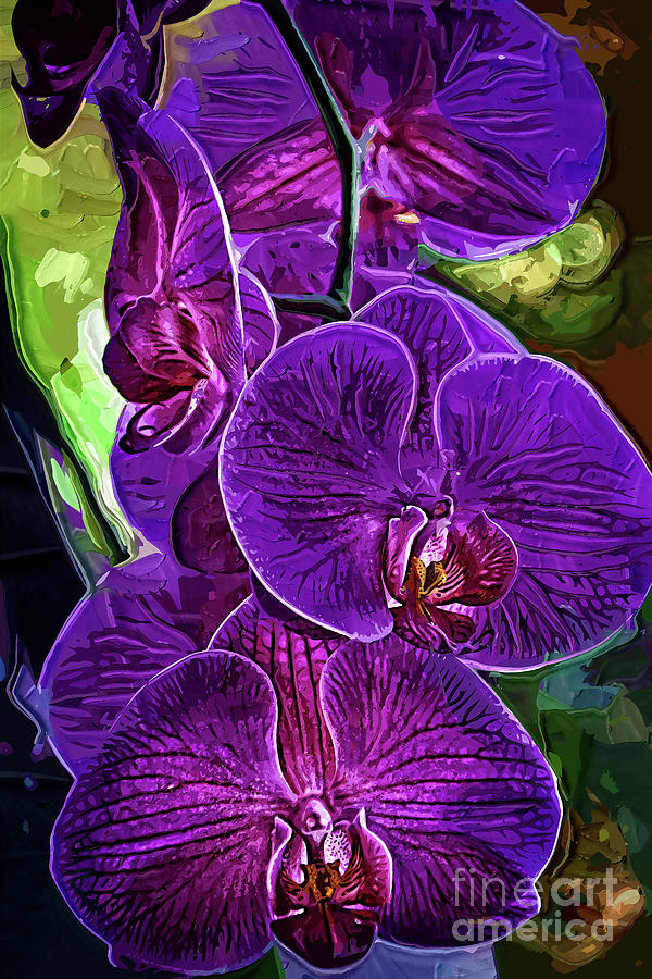 Orchids Digital Art - Purple Impasto Orchids by Kirt Tisdale