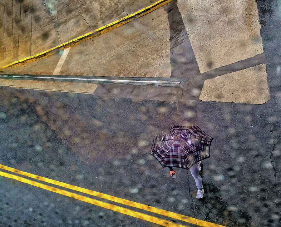 Purple in the Rain Photograph by John Hoey